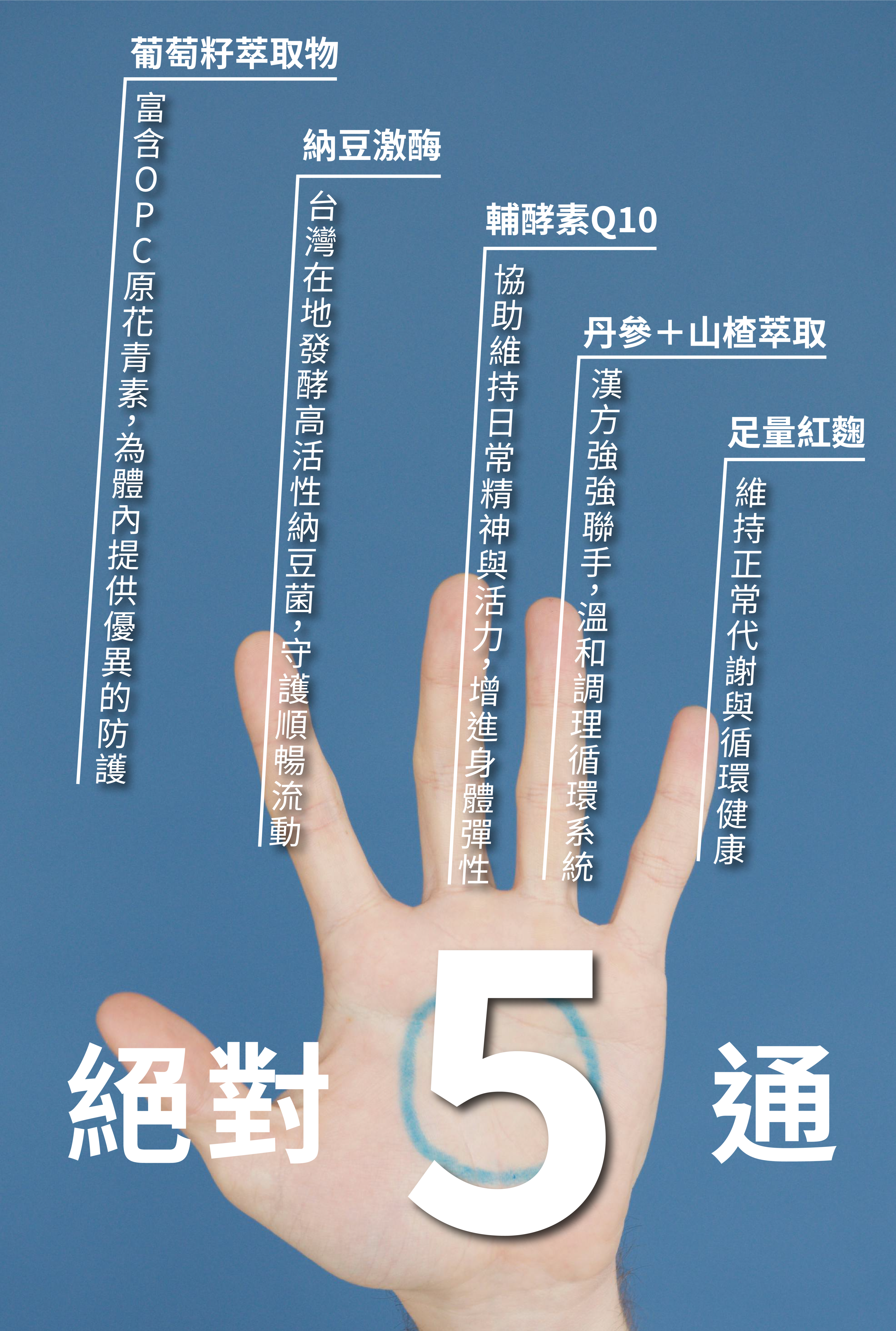一張保健品宣傳圖，畫面中一隻手掌攤開，五指分別標示著「葡萄籽萃取物」、「納豆激酶」、「輔酵素Q10」、「丹參+山楂萃取」和「足量紅麴」等五種成分，中間是巨大的數字「5」，兩旁寫著「絕對」和「通」。