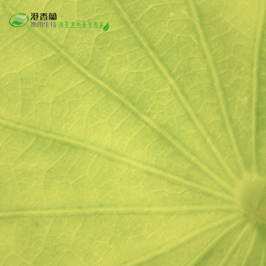 輕盈漢方的奧秘：深入解析荷葉功效、基原與副作用